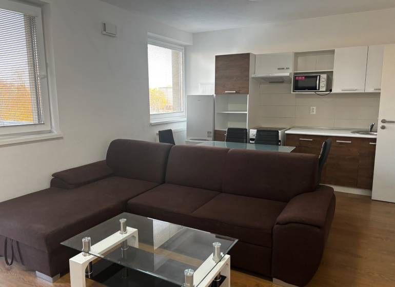 Living room with a kitchenette, brown sofa, and wooden decor flooring in a 2-room apartment.