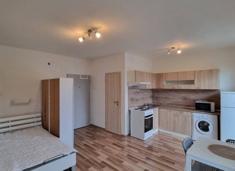 Studio apartment with wood-patterned flooring, kitchen unit, bed, washing machine, and dining table.