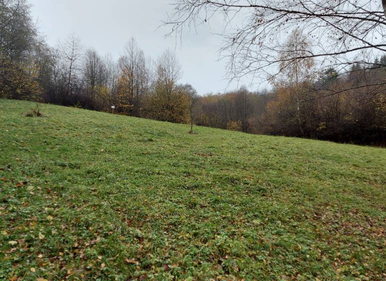 A wooded slope of the Recreational Grounds near Podhradie at Konská, surrounded by autumn trees.