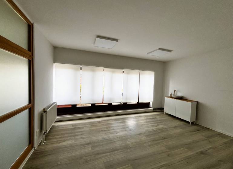 Empty commercial spaces, wood-patterned flooring, large windows with blinds.