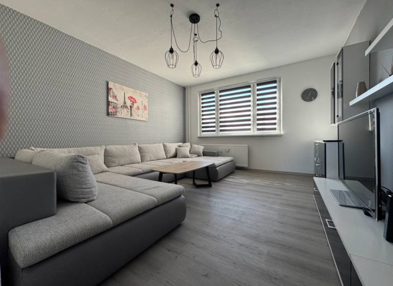 Living room in a 3-room apartment with a sofa and a wooden decor floor.