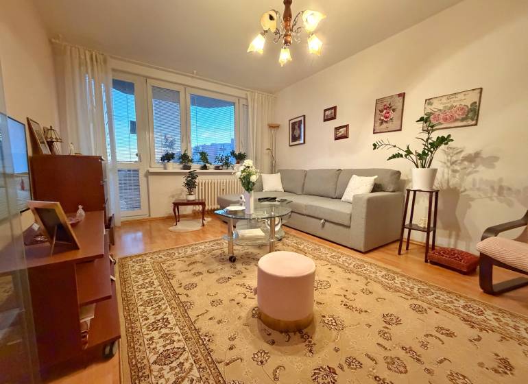 Living room in a 3-room apartment with a sofa, carpet, and plants, wooden decor flooring.