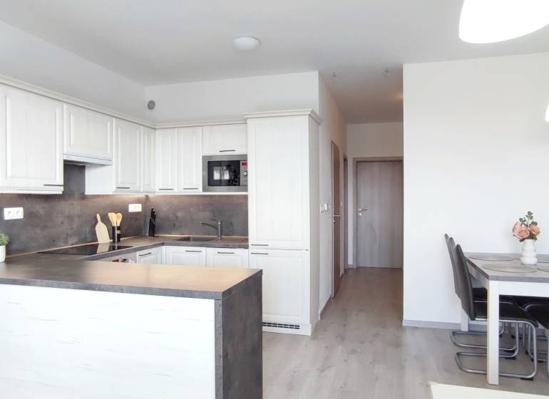 Kitchen and dining area in a 2-room apartment with a wooden decor floor.