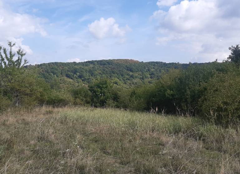 Landscape with grassy vegetation and trees in Recreational Grounds, Horné Jabloňovce, Jabloňovce.