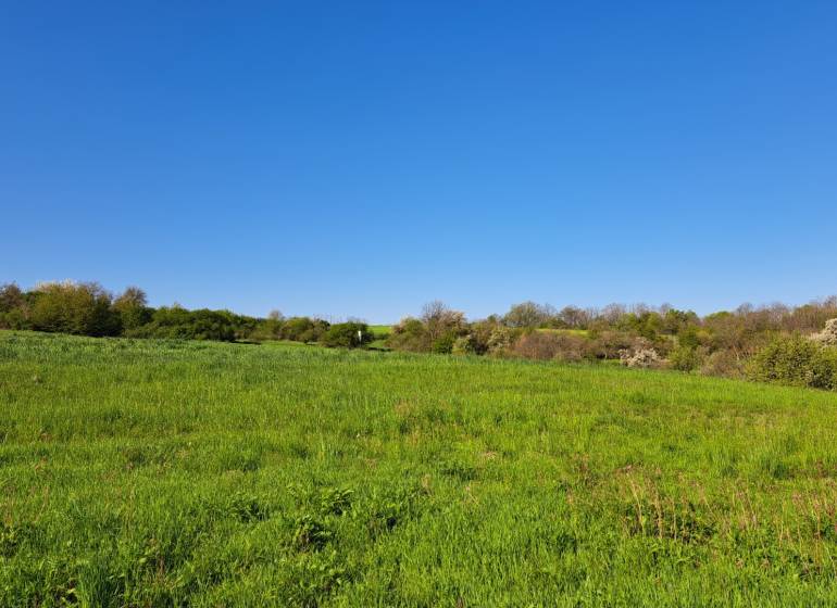 Meadow in Dolné Žemberovce, Residential Land, with a view of greenery and clear skies.