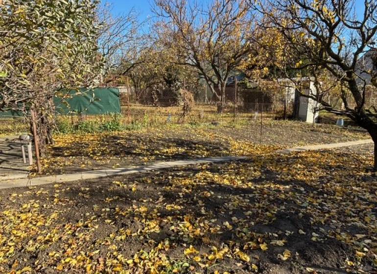 Autumn garden in Bratislava - Ružinov, Central, with fallen leaves and trees.
