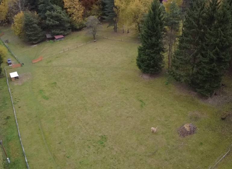 Recreational plots at Čertov in Lazy pod Makytou, surrounded by nature and a road.