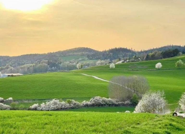 Spring landscape near Poniky, agricultural and forest lands with blooming trees and green meadows.