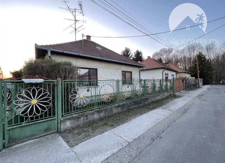 A family house in Vrakúňa with a colorful fence and a satellite dish. A street next to the house.