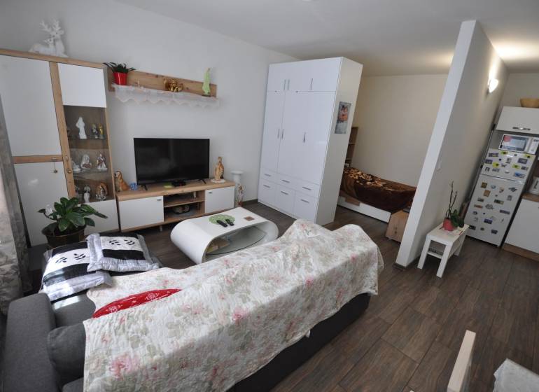 A living room of a two-room apartment with a wooden decor floor, a sofa, and a television.