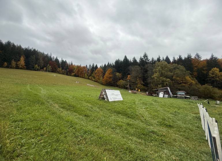 Greenery and forest background in Lazy pod Makytou, Čertov, on commercial land.