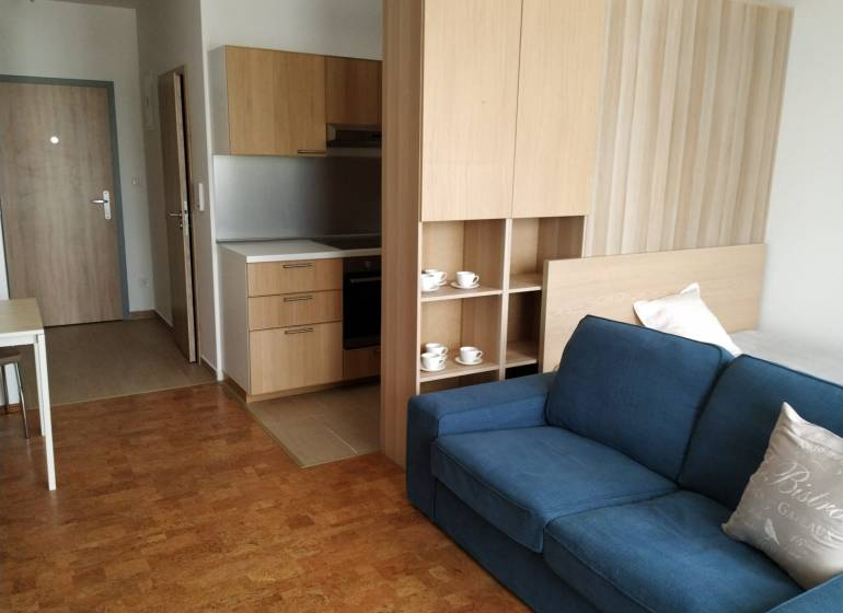 Living room with kitchen, wooden decor flooring, blue sofa.