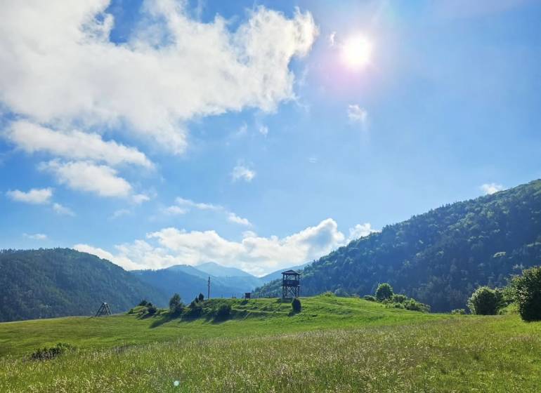 Sunny agricultural and forest lands in Necpaly with views of hills and a tower.