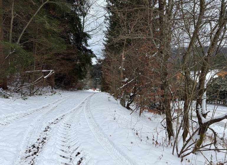 Snowy path on the Recreational Grounds in Čertov, Lazy pod Makytou, surrounded by forest vegetation.