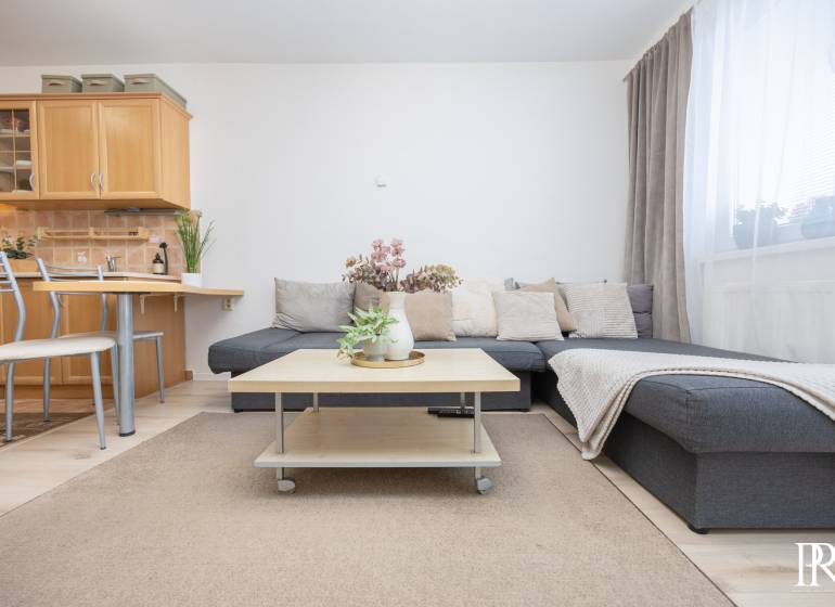Living room in a two-room apartment with a sofa, table, and kitchenette.