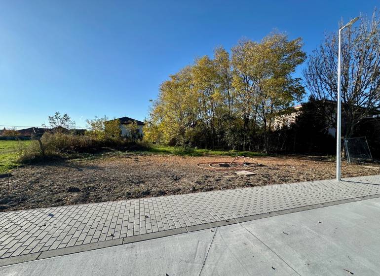 A residential plot in Malinovo, Malinovo with a paved walkway, surrounded by greenery and trees.