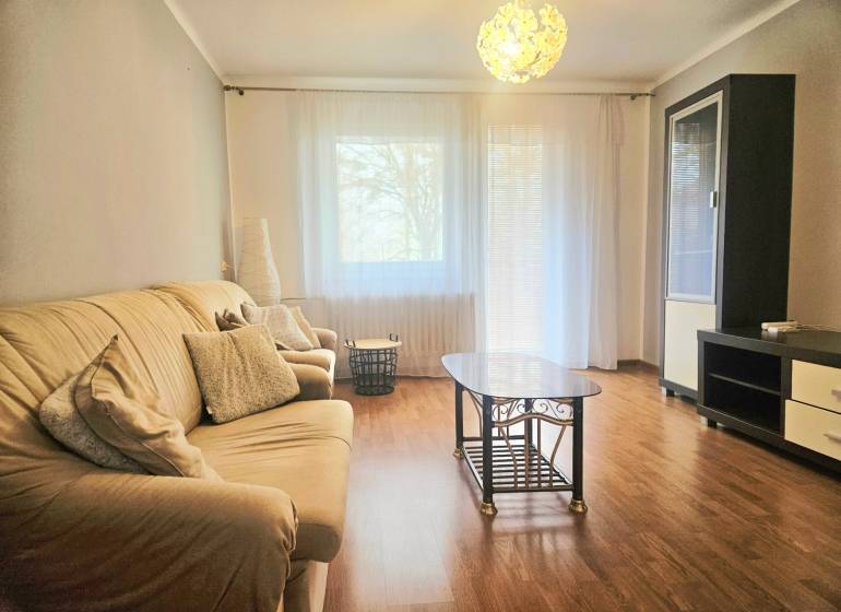 Living room in a 3-room apartment with a wooden decor floor, a comfortable sofa, and a coffee table.