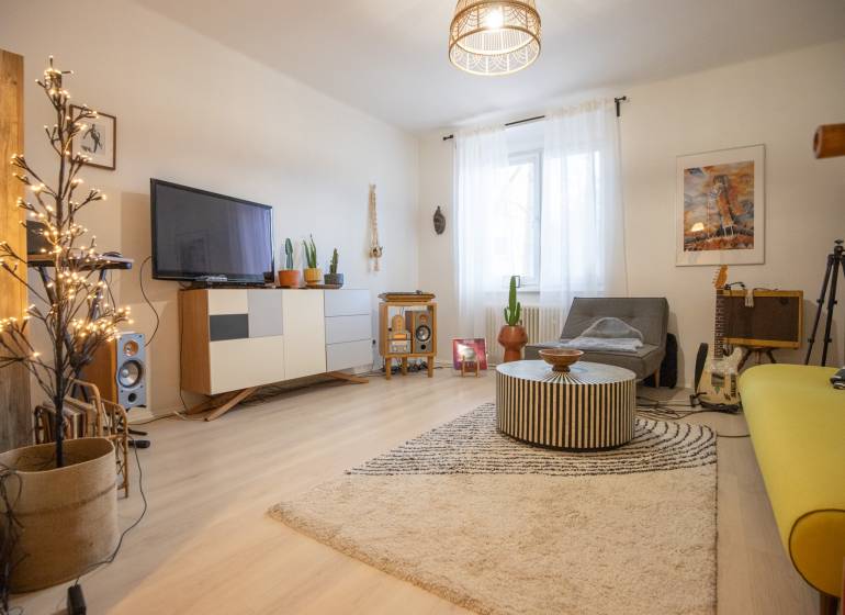 Living room with wood-patterned flooring, a sofa, and decorations in a two-room apartment.