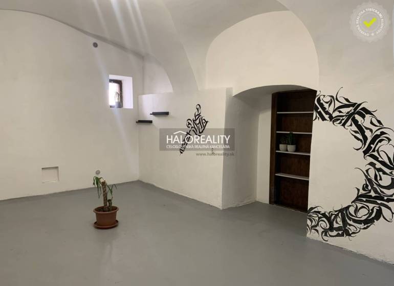 Offices with white walls, floral pattern, and a small potted plant.