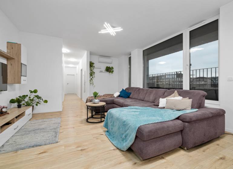 Living room with a large sofa, wooden decor flooring, and plants in a 3-room apartment.