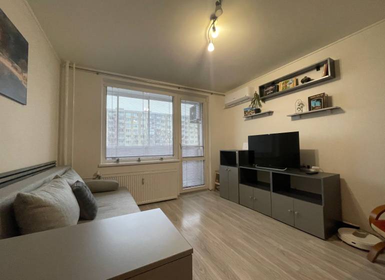 A studio apartment with wood-patterned flooring, a sofa, and a television, minimalist wall decorations.