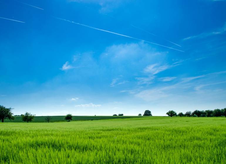 Green field under a blue sky, suitable for residential land in Čečejovce.