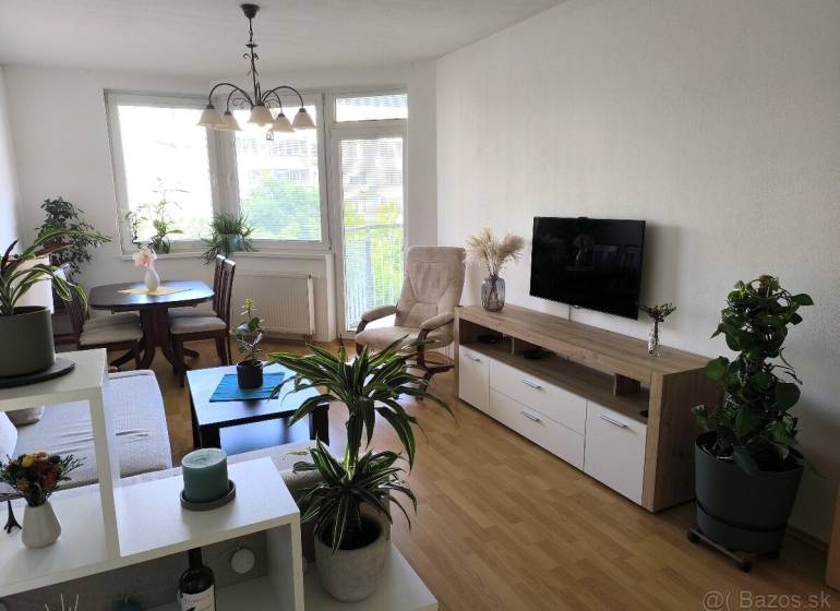 Living room in a two-room apartment with a wooden-patterned floor and lots of plants.