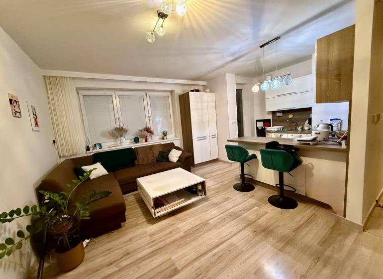 Living room and kitchen in a 2-room apartment with a wooden decor floor.