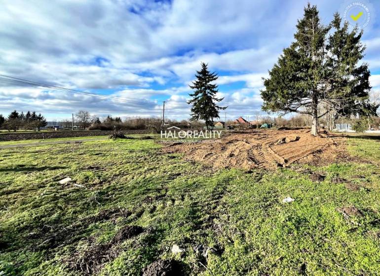 Plots - housing in Ondrejovce, green areas and conifers under the blue sky.