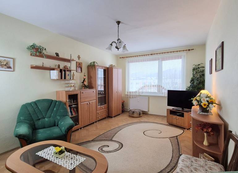 Living room in a two-room apartment with carpets and wood-patterned flooring.