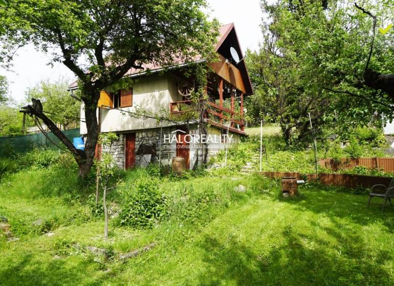 In the picture, there is a cabin situated on the edge of a forest surrounded by lush greenery.