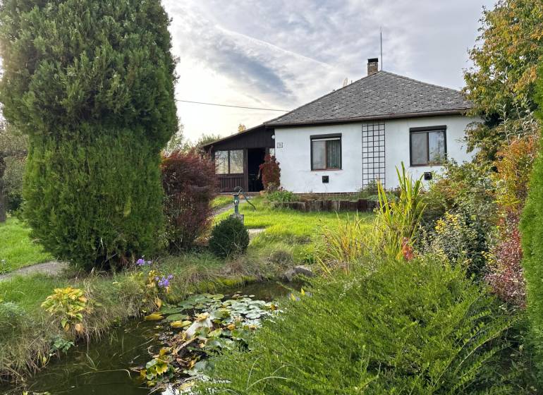 A family house in Kalša with a beautiful garden and a small pond surrounded by greenery.