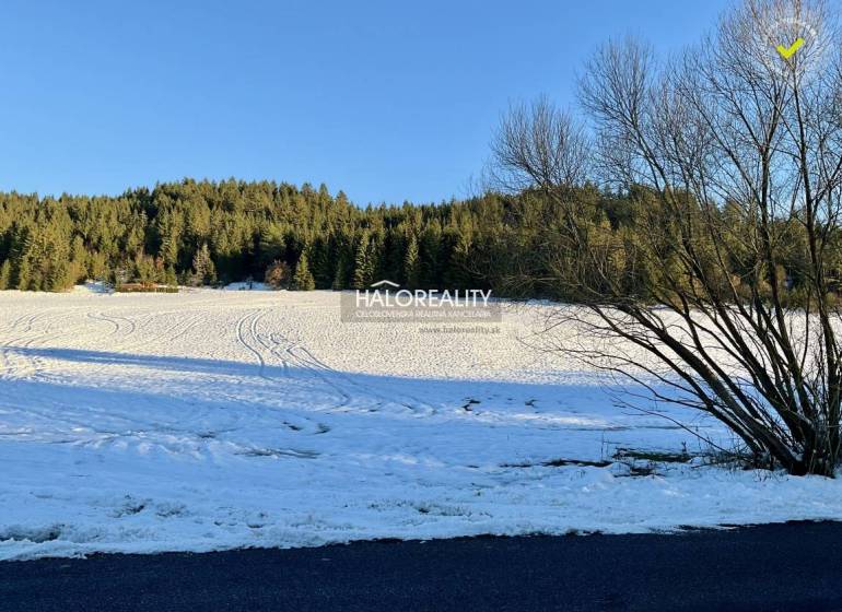Snow cover on residential land in Dolná Lehota, surrounded by forest.