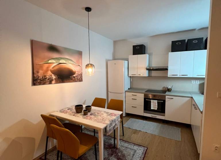 Kitchen and dining room in a 2-room apartment with a wood-patterned floor.