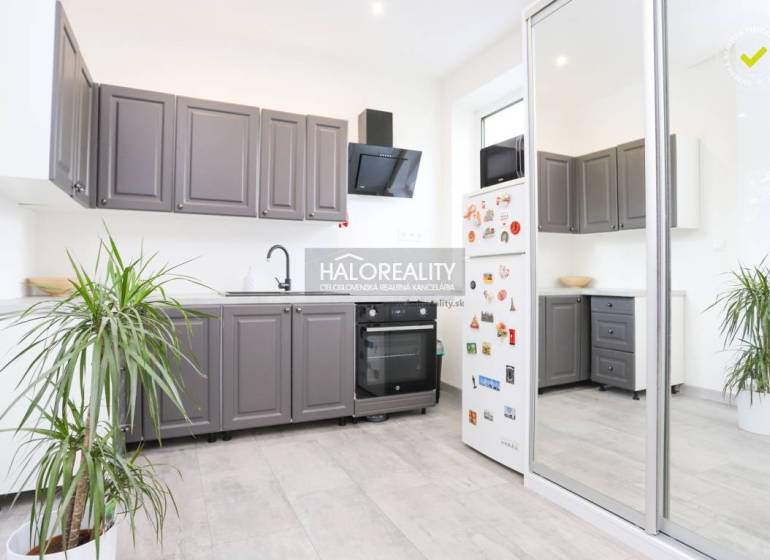 A kitchen in a 2-room apartment with white walls, gray cabinets, and a plant.