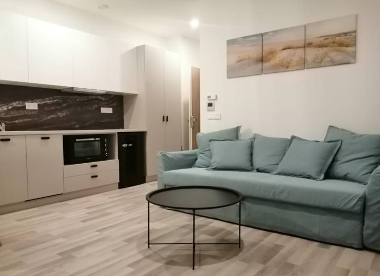 Studio apartment with a kitchen, blue sofa, round table, and wood-patterned flooring.