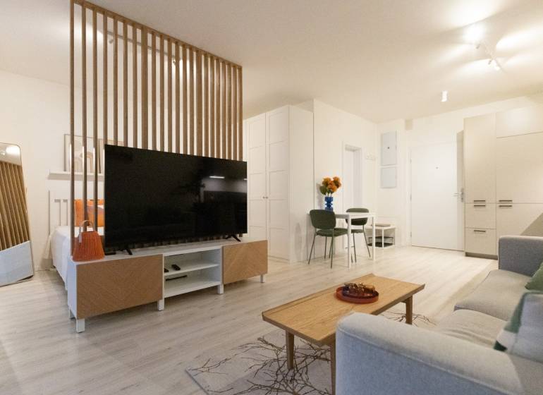 A bright living room in a studio apartment with a wooden partition and a TV, floor with a wooden decor.