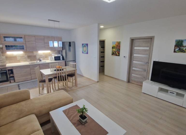 Living room with kitchen, wooden decor flooring, dining table, sofa, TV stand.