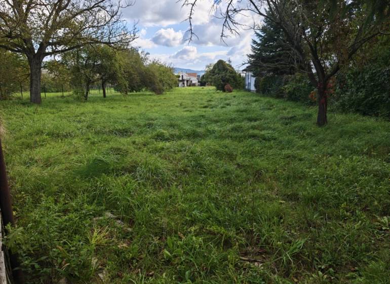 Greenery and trees on a residential plot on Malá Domaša Street, Vranov nad Topľou.