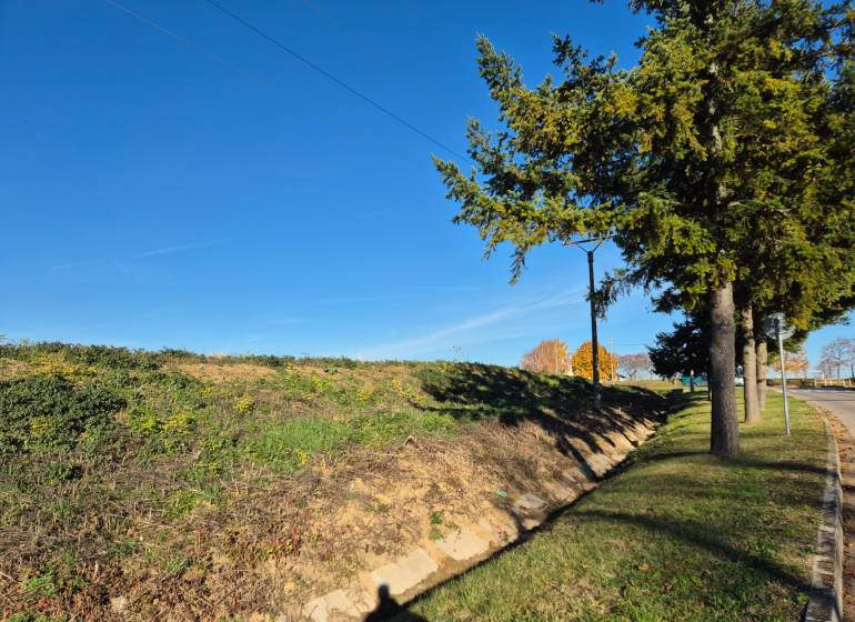 Plots - housing in the village of Velčice, grassy slope and trees along the road.