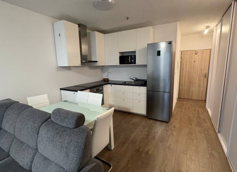 Living room with kitchen, sofa, and wooden decor flooring in a studio apartment.