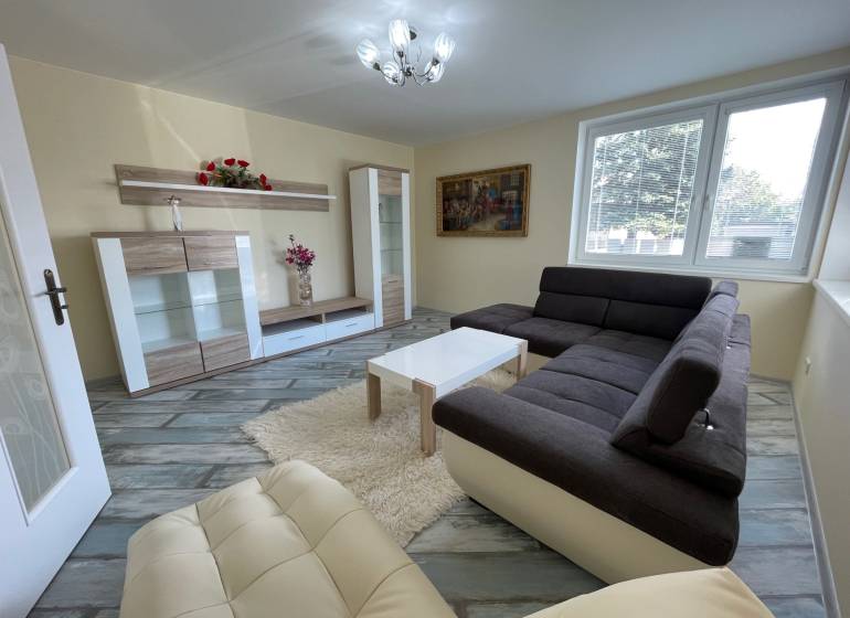 Living room in a family house with a sofa, display cabinets, and a floor with a wooden decor.
