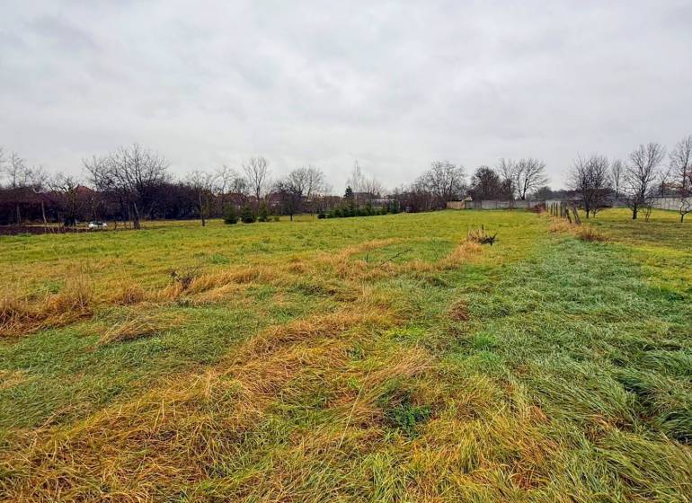 Extensive plots suitable for living in Pribeta, surrounded by trees, are waiting for new use.