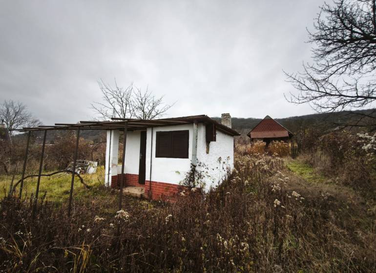 Abandoned cottage in Vinice in Nána, surrounded by neglected vegetation and trees.