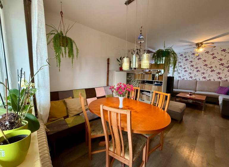 Living room with a dining table, wood-patterned floor, plants, and a colorful sofa.