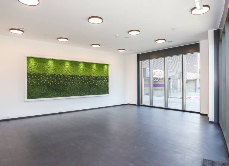 The interior of a commercial space with large windows and a green wall on the wall.