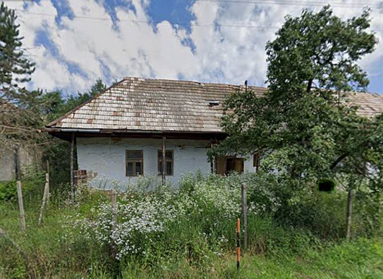 A family house in Nenince with a grassy plot, a fence, and trees in the garden.