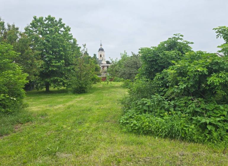 Green gardens in Dolná Streda with the church tower on the horizon.