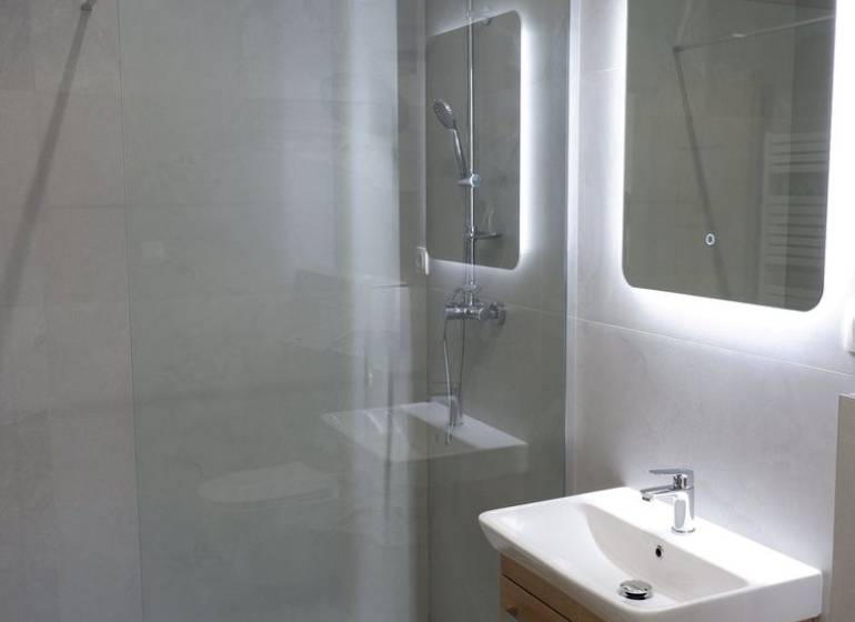 Bathroom with a sink, shower corner, and large mirror in a family house.