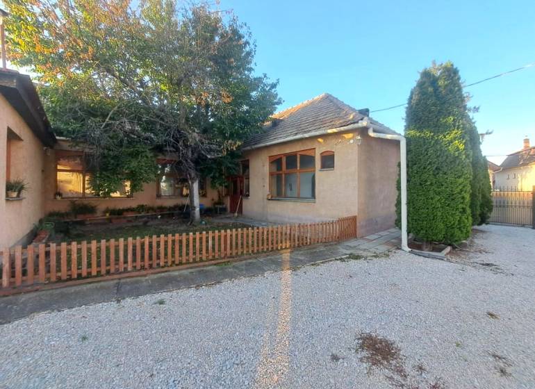 A family house in Kolárovo with a front garden, a tree, and a gravel yard.